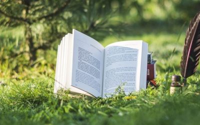 A flurry of green library activity