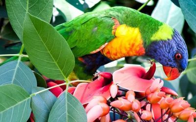 Sustainable Spring has Sprung! 3 ways to promote Sustainability in Spring