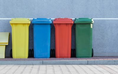 6 easy ways your library can promote sustainability